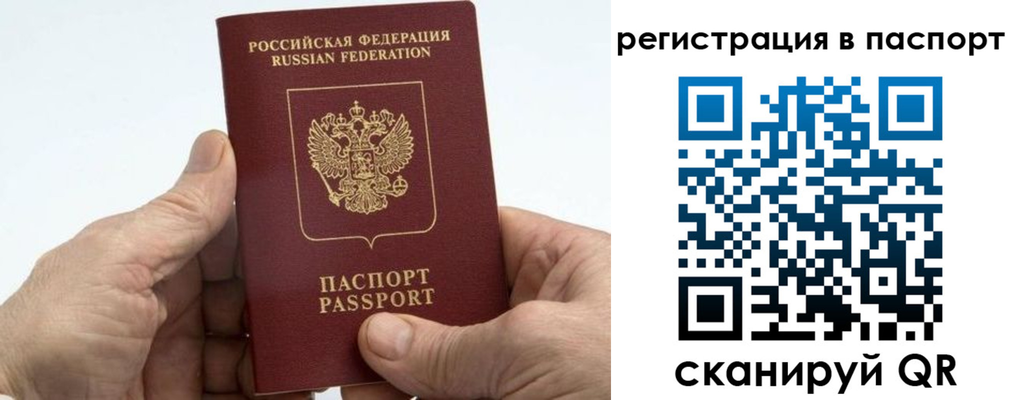купить прописку в Каргате